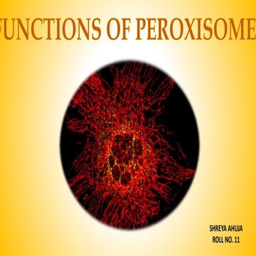 Peroxisomes