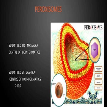Peroxisomes