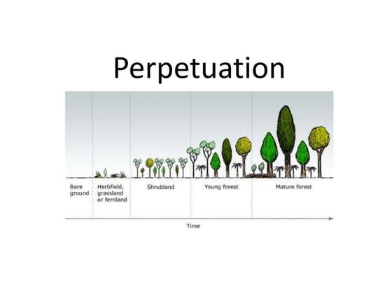 Mechanisms and patterns of evolution | PPT