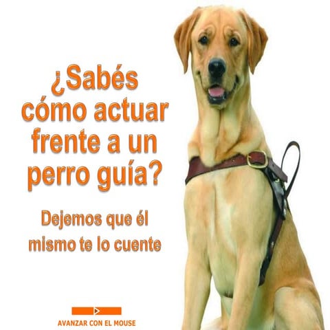 Datos sobre los Perros Guias, DIFUNDELO!!!