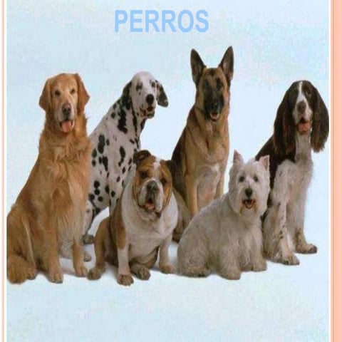 Perros
