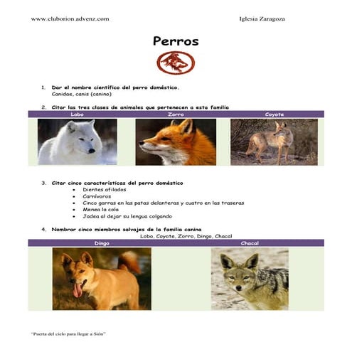 Especialidad de Perros