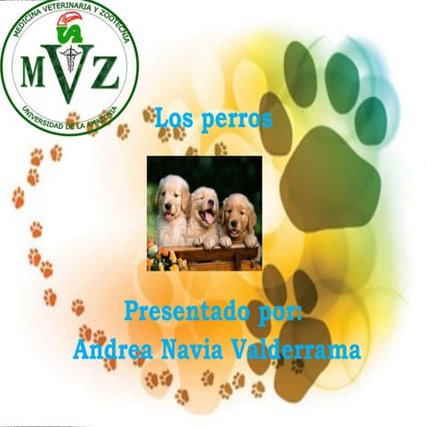 los perro ....expocioson de ICA Perros