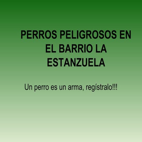 Perros Peligrosos En El Barrio La Estanzuela