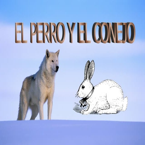 Perro Y El Conej Ol