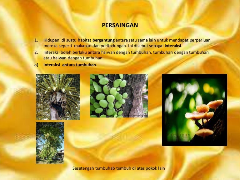 Persaingan 2 1