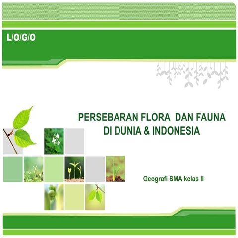 Persebaran flora  dan fauna di dunia & indonesia