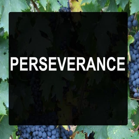 Perserverance | ODP