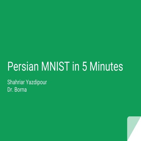 Persian MNIST in 5 Minutes