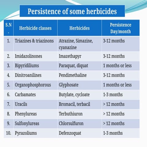 persistence.pptx persispersistence.pptxtence.pptx