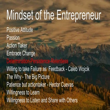 Persistence breeds success in the Mindset of the Entrepreneur
