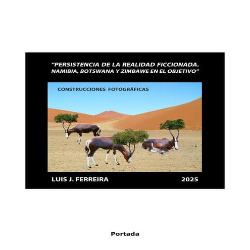 Persistencia de la realidad ficcionada. Namibia, Botswana y Zimbawe en el objetivo. Obra plástica