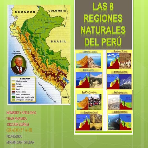 Las 8 regiones naturales del Perú