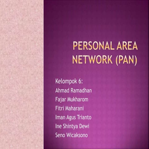 PAN (Personal Area Network)
