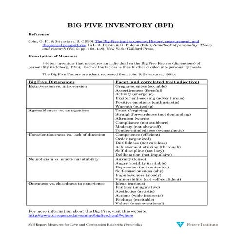 BIG FIVE INVENTORY (BFI)