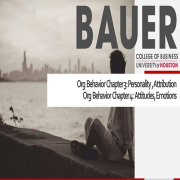 Personality, attribution, attitudes, and emotions (ob ch 3 and 4) post