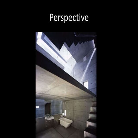 Perspective
