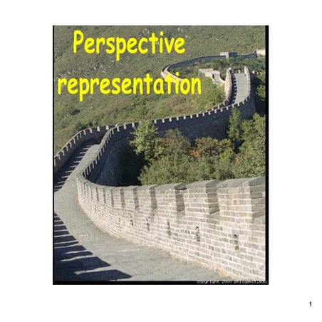 Perspective Representation