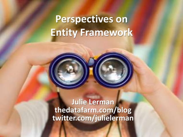 Perspectives on Entity Framework, Julie Lerman