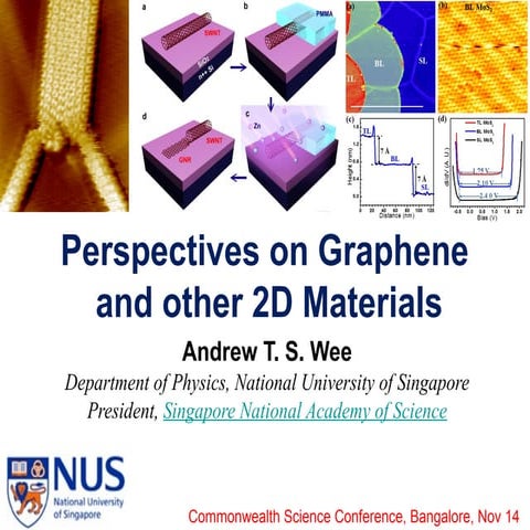 Perspectives on Graphene & other 2D Materials.pptx