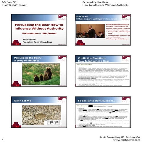 Persuading the bear how to influence without authority