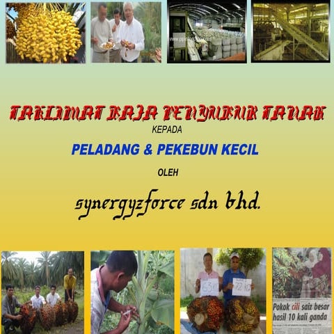 Pertanian teknologi Thailand