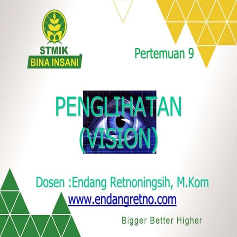 Pertemuan 09 Penglihatan (Vision)