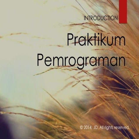 Asistensi Praktikum Pemrograman 1 | PPTX