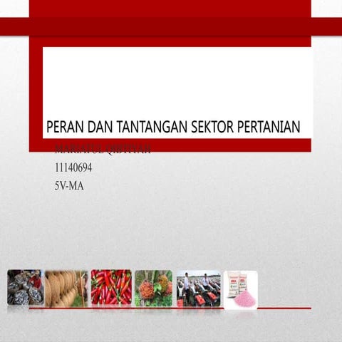 Peran Pemerintah Swasta Sektor Pertanian Program Digital Investasi Pelatihan