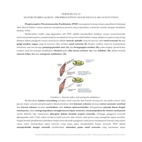 11. Proprioceptive Neuromuscular Facilitation (PNF).pptx