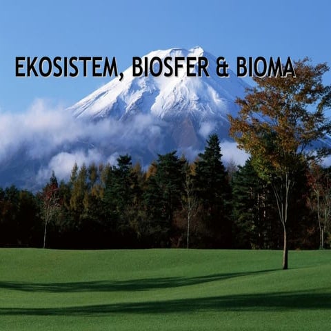 Pertemuan 14 dan 15 ekosistem dan biosfer.ppt