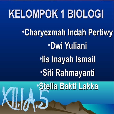 Work Group about ENZIM 