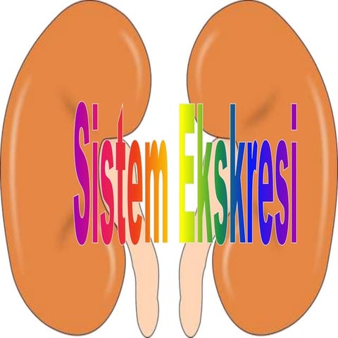 Pertemuan 7 Sistem Ekskresi pada manusia.pptx