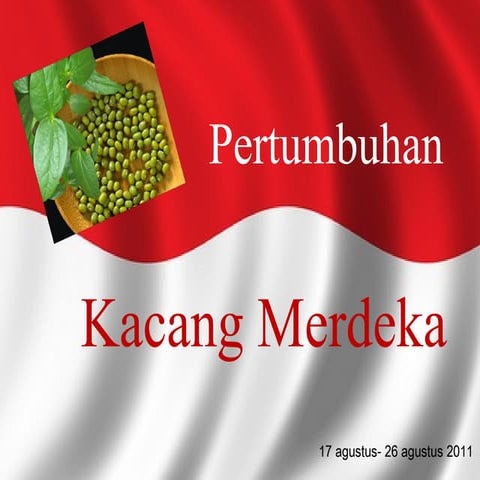 Pertumbuhan kacang hijau (Kacang Merdeka)