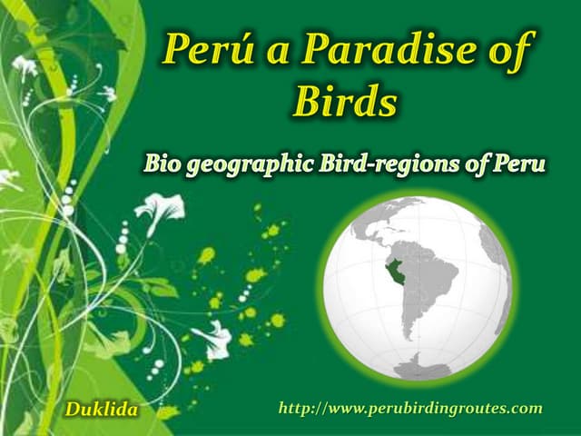 Peru: Paradise of Birds
