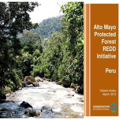 Alto Mayo Protected Forest REDD Initiative, Peru