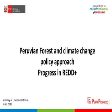 Peruvian Forest and climate change policy approach Progress in REDD+