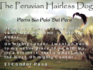 Read This Controversial Article And Discover Out More About Dogs Are