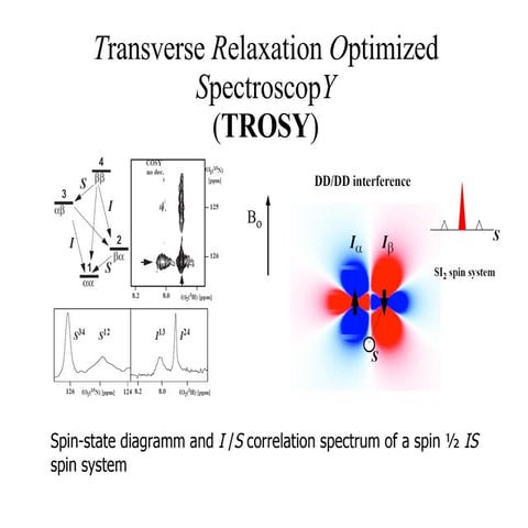 Transverse optimization of spin relaxation in NMR | PPT