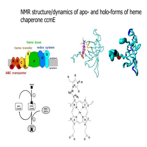 NMR method development for large proteins presented at ENC 2005