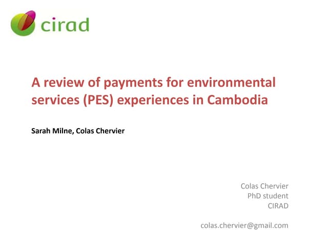 Pes cambodia chervier