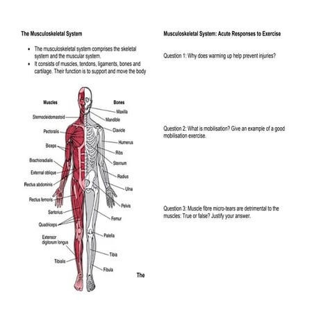 PEShare.co.uk Shared Resource