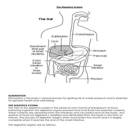 Flatulence | PPTX