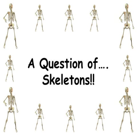 THE SKELETAL SYSTEM ACTIVITY | DOCX