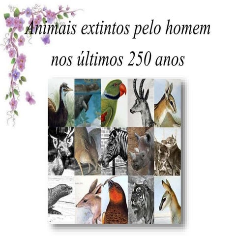 Animais que já foram extintos | DOC