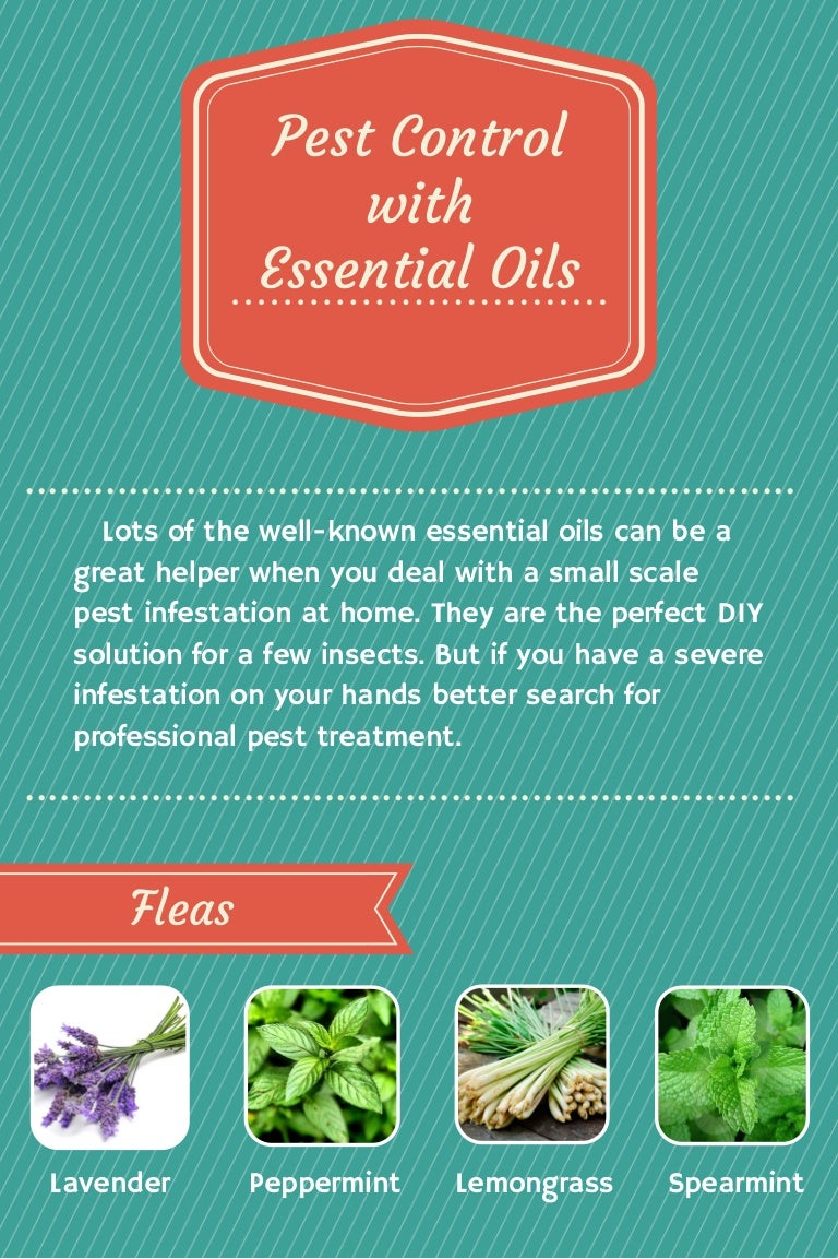 Pest Control with Essential Oils