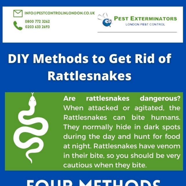 Get rid of Rattlesnake | PDF
