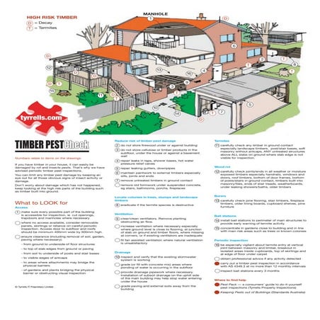 TImber and pest check infographic