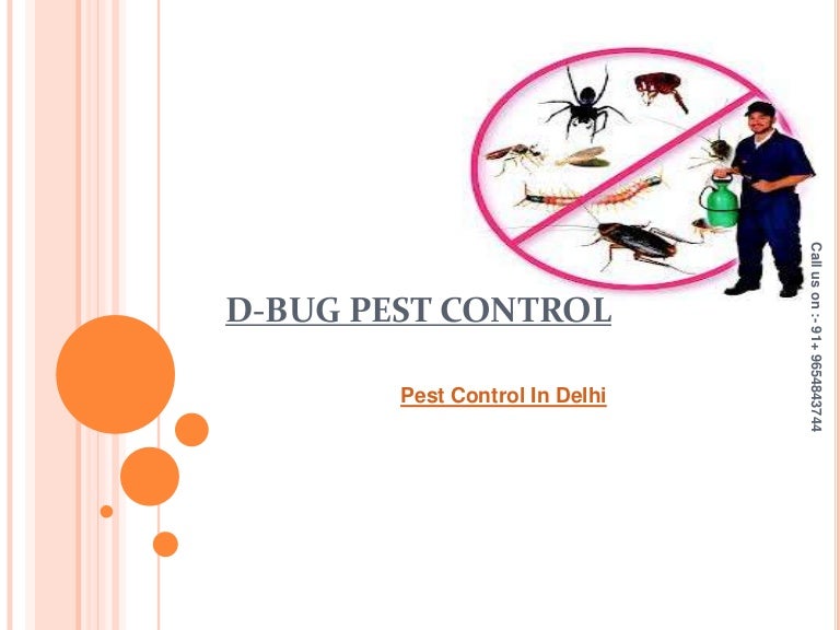 Pest control in delhi