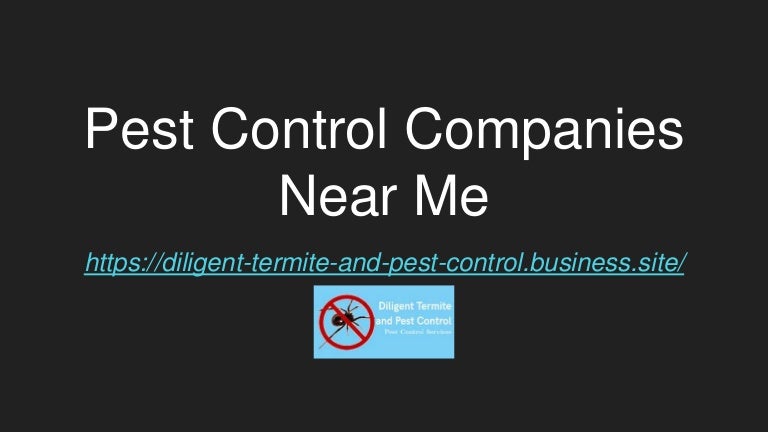 Pest control companies near me